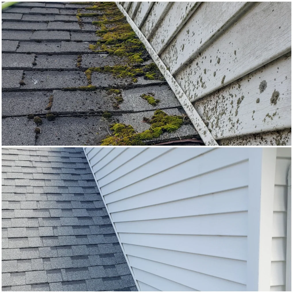 Before and after view of home soft washing on siding and roof edge